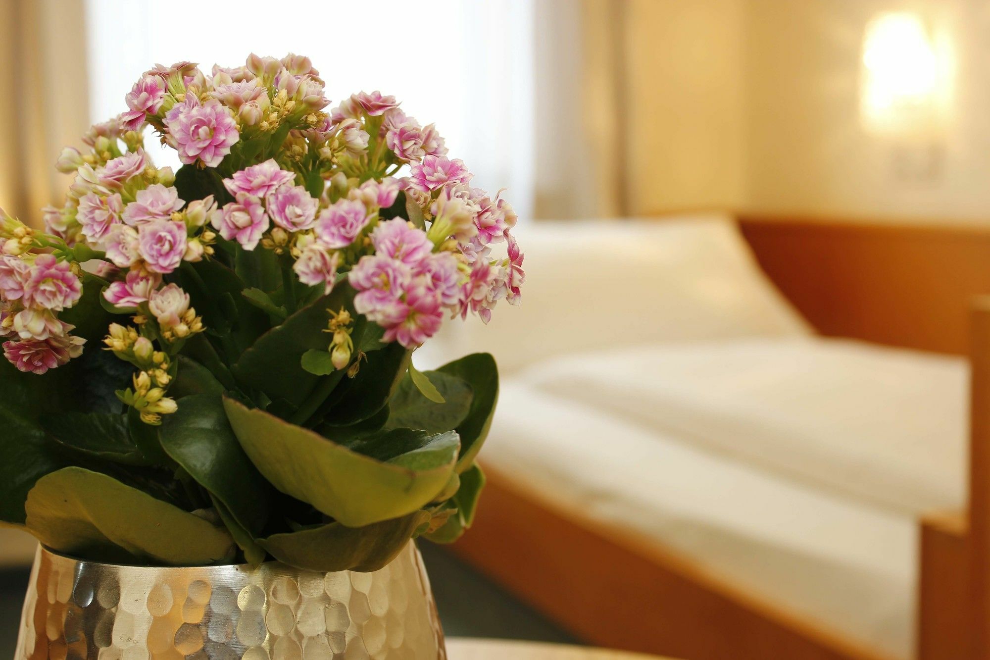 City Hotel Wuerzburg Esterno foto